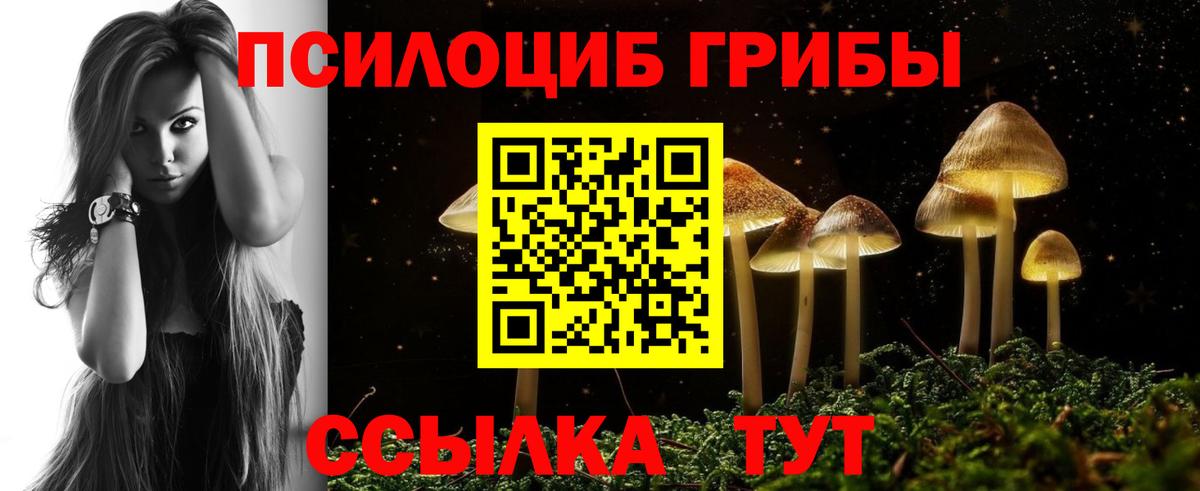 Псилоцибиновые грибы GOLDEN TEACHER  Вход с VPN  Чайковский 